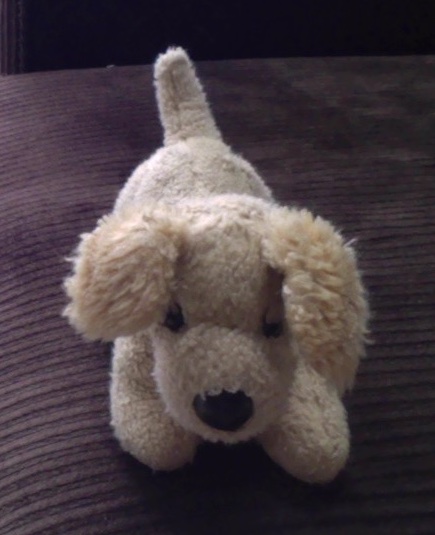 My stuffed animal, Butterball!